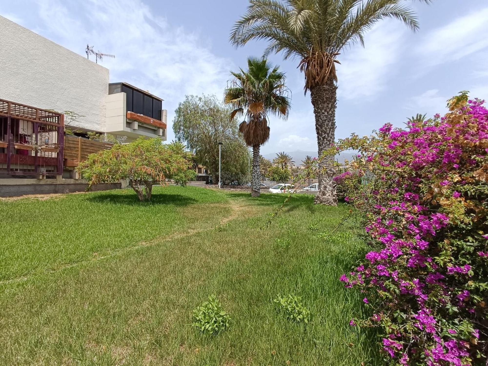 Apartment Tenerife South Coast Costa Del Silencio Exterior foto